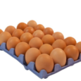 24eggs.png