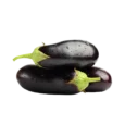 Aubergine