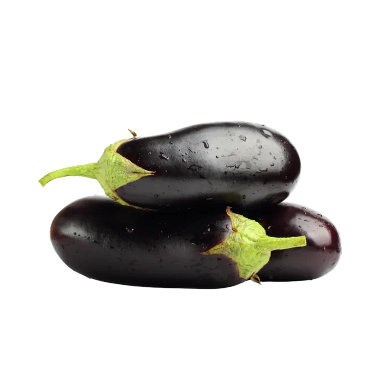 Aubergine