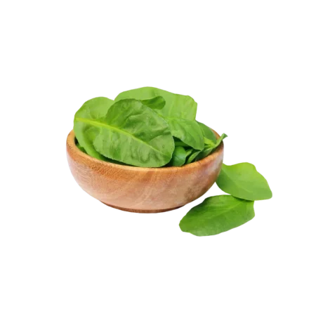 Baby Spinach