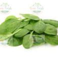 Baby-Spinach.png