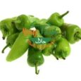 Bullet-Green-Chilli.jpg