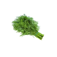 Dill