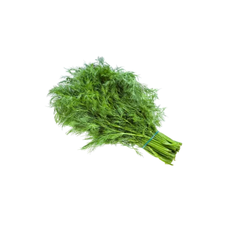 Dill