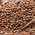 East-End-Brown-Lentils-1.png