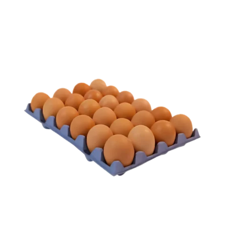 Eggo 24 Large Eggs