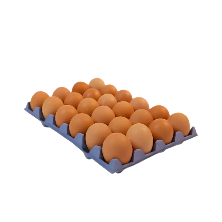 Eggo 24 Large Eggs