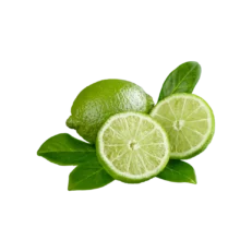 Fresh Lime