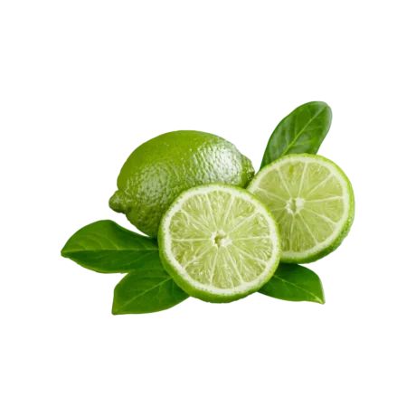 Fresh Lime