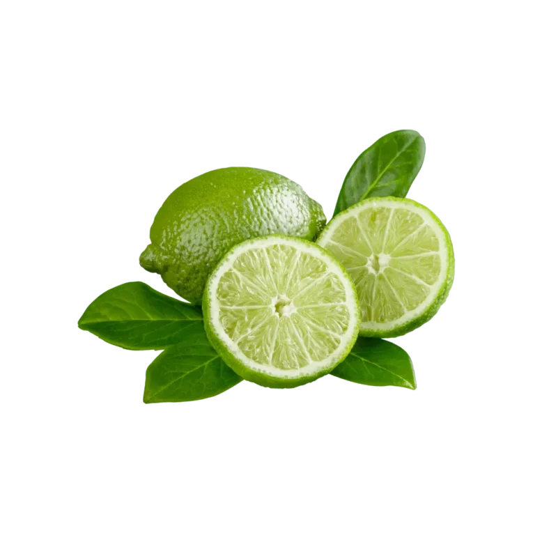 Fresh Lime