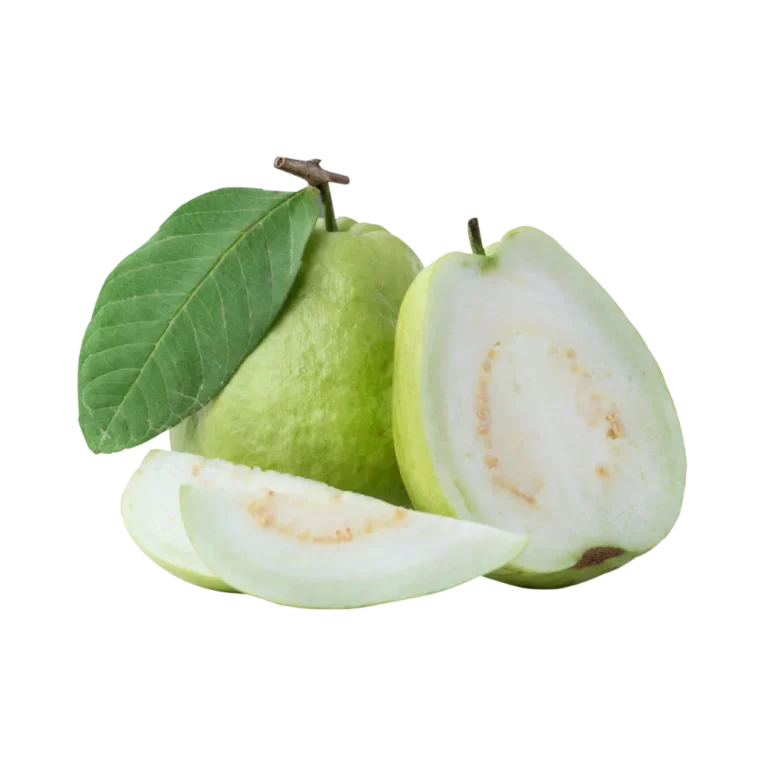 Guava