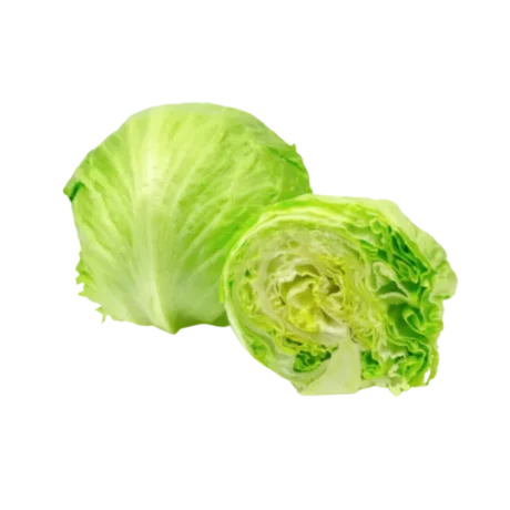 Iceberg Lettuce