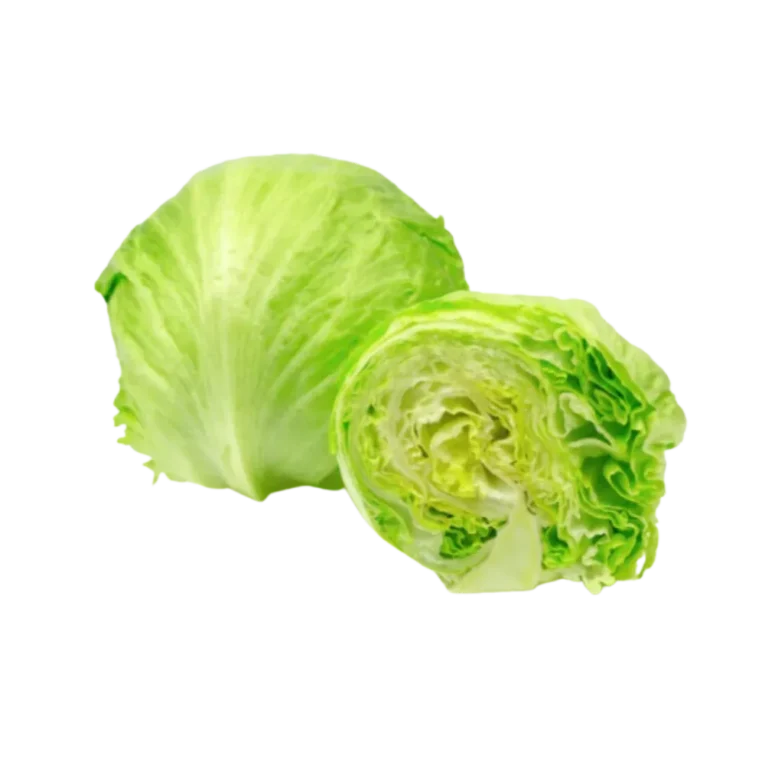 Iceberg Lettuce