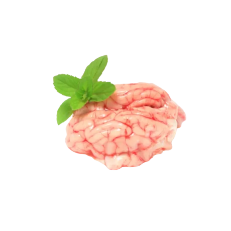 Lamb brain