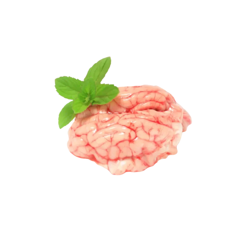 Lamb brain