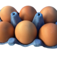 Large-Eggs-I-Love-eggs2.png