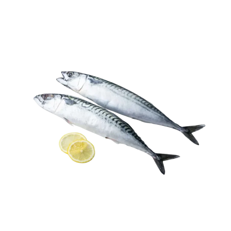 Mackerel Whole