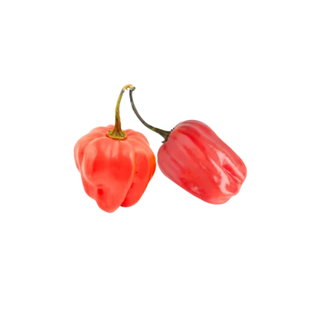 Scotch bonnet 2