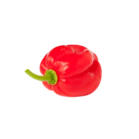 Scotch bonnet