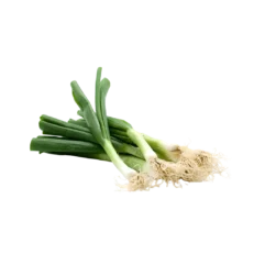 Spring Onion