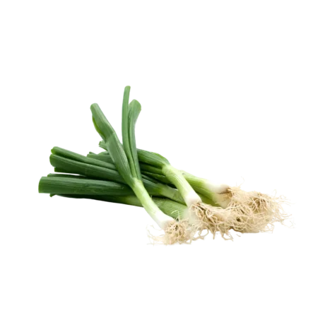 Spring Onion