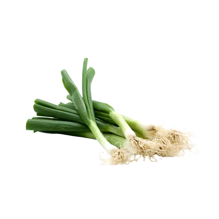 Spring Onion