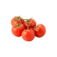 Tomatoes on Vine