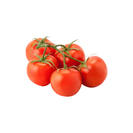 Tomatoes on Vine