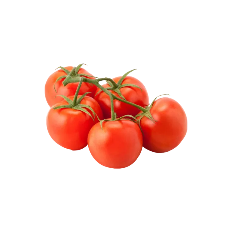 Tomatoes on Vine