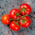 Tomatoes on Vine