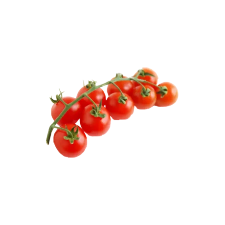 Tomatoes on Vine 2