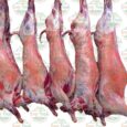 Whole-Lamb-scaled-1.jpg