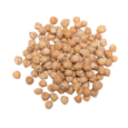 chickpea.png