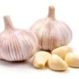 garlic-1.jpg