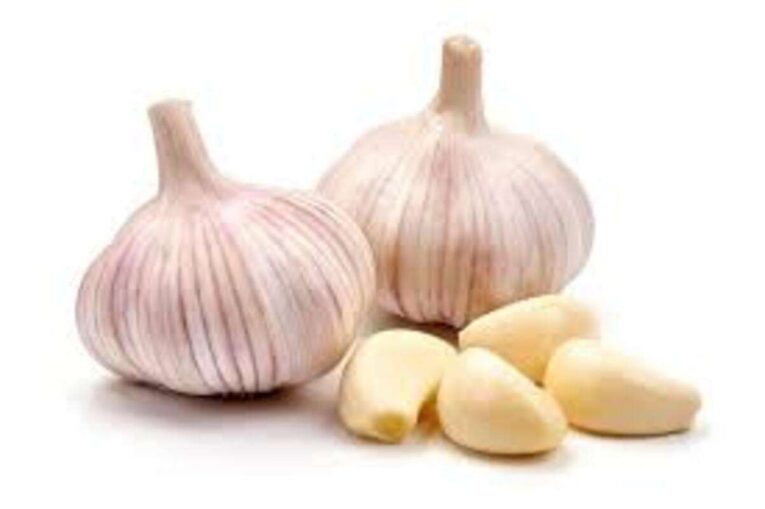 garlic-1.jpg