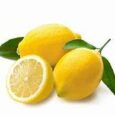 lemon-1.jpg