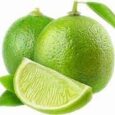 lime.jpg