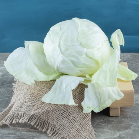 white cabbage