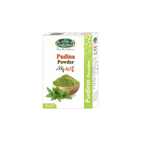 Al Noor Pudina (Mint) Powder 75g