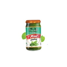 Al noor Mint Chutney 340g