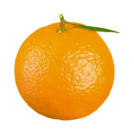 Fresh Orange