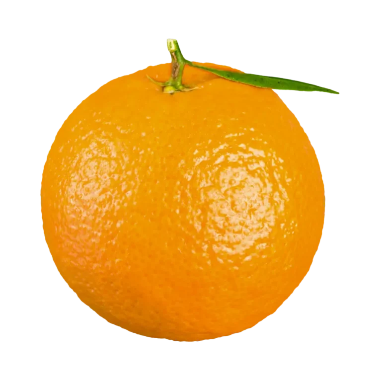 Fresh Orange