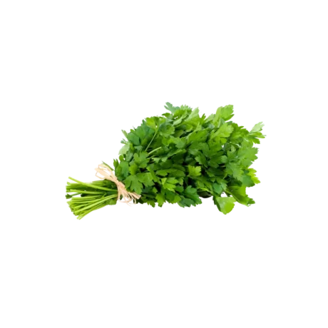 Fresh Parsley Bunch