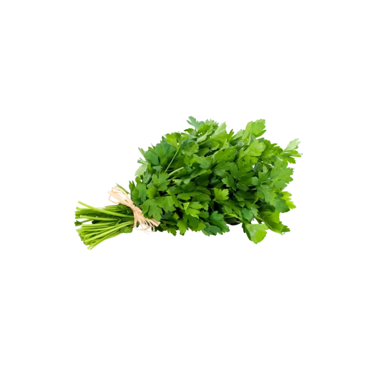 Fresh Parsley Bunch