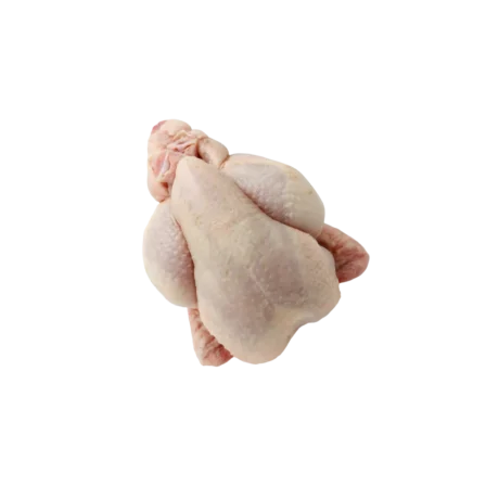 Whole Poussin