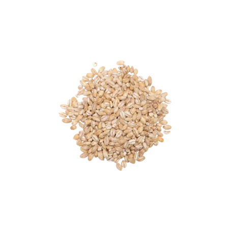 White Pearl Barley Whole 75g