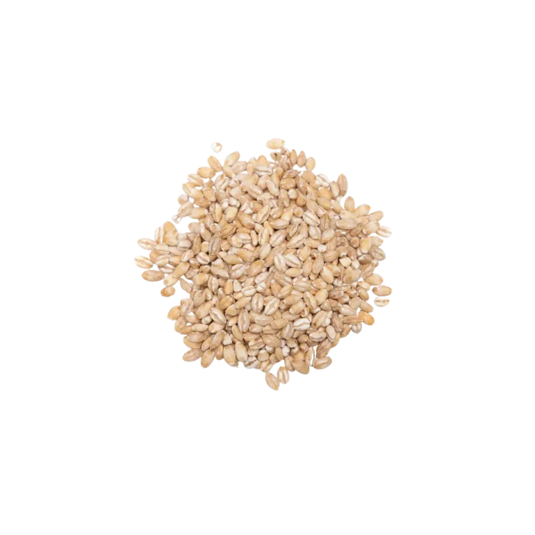 White Pearl Barley Whole 75g